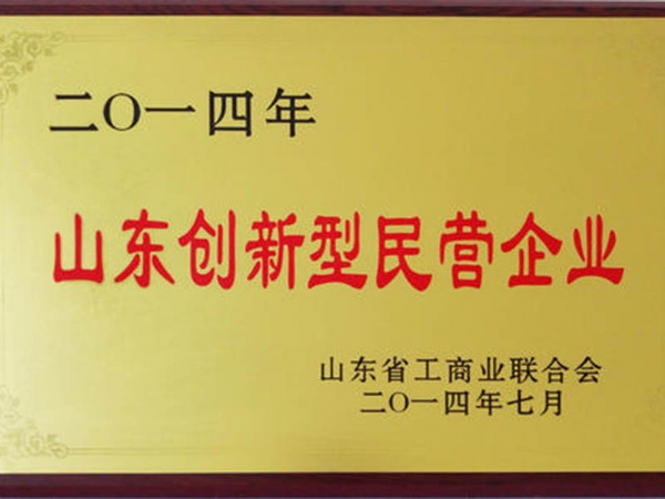 山東創(chuàng)新型民營(yíng)企業(yè)